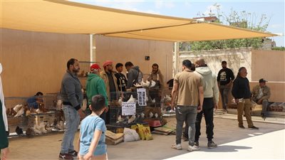 محافظ القاهرة: الانتهاء من سوق الحمام الجديد بالسيدة عائشة (صور) 