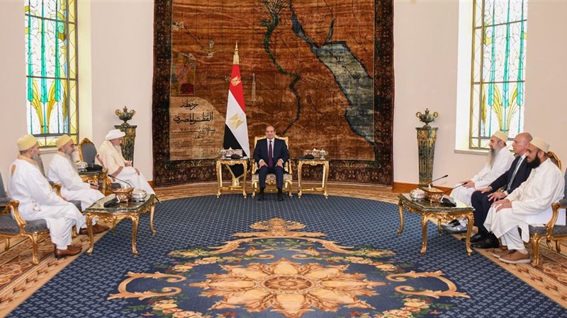 الرئيس السيسي، فيتو