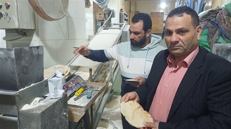 الاسكندريه 