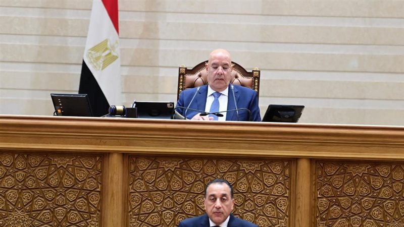 رئيس مجلس الوزارء