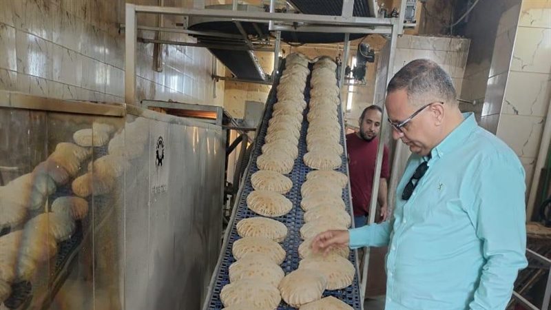 حملات تموينية بالدقهلية،