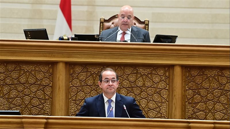 وزير المالية أمام