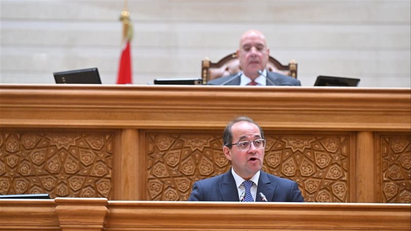 وزير المالية أمام