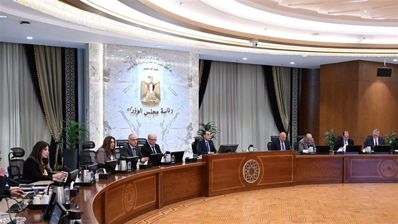 مجلس الوزراء، فيتو