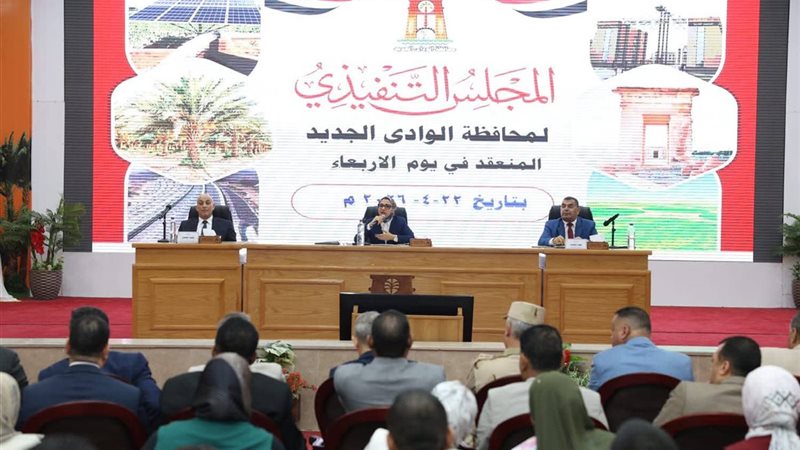 المجلس التنفيذي للوادي
