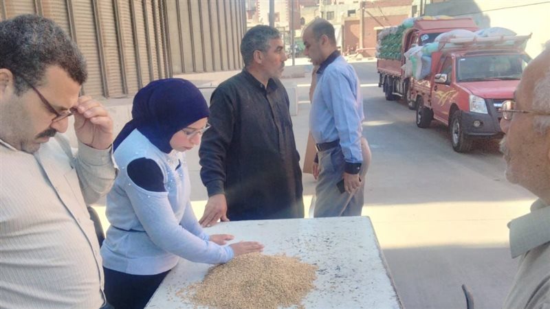 موسم توريد القمح
