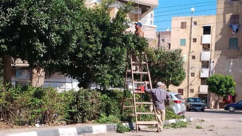 جانب من الأعمال بدمنهور