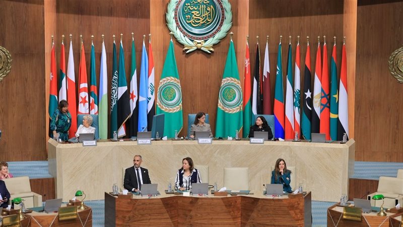 التضامن الاجتماعي