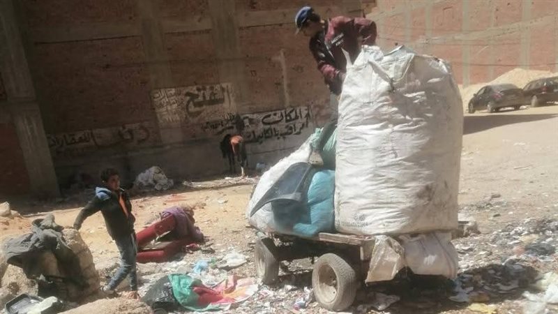 محافظ الدقهلية يتابع