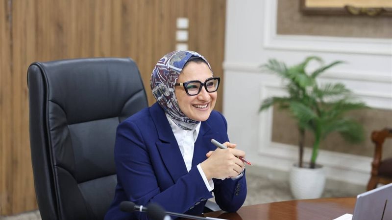 محافظ الوادي الجديد،
