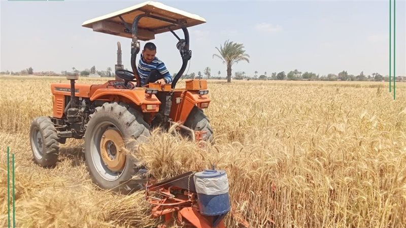 محافظة الشرقية تنتهي