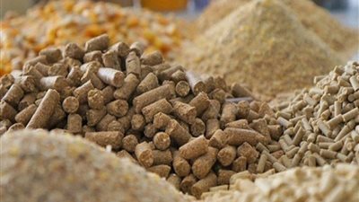 انخفاض طن الصويا 500 جنيه، أسعار الأعلاف والحبوب اليوم في الأسواق