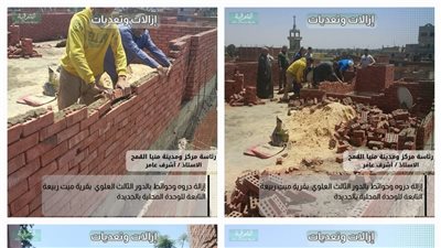 إزالة 5 حالات بناء مخالف بأراضي زراعية ومملوكة للدولة بمراكز الشرقية 