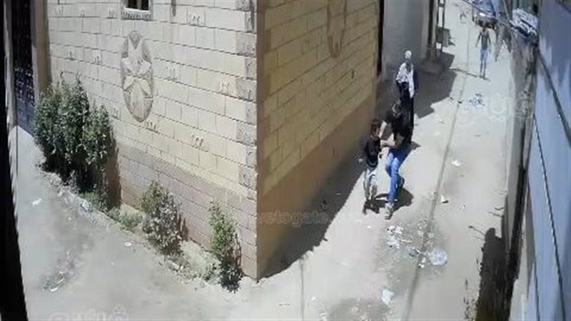عقر كلب ضال لطفل