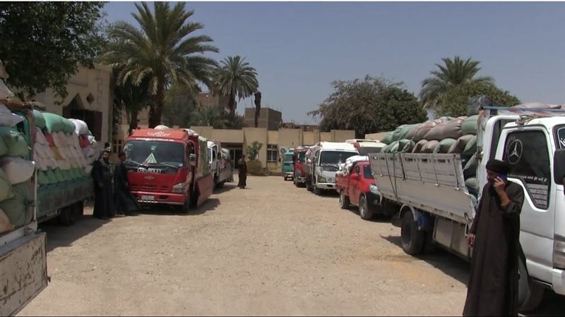 جانب من عملية التوريد