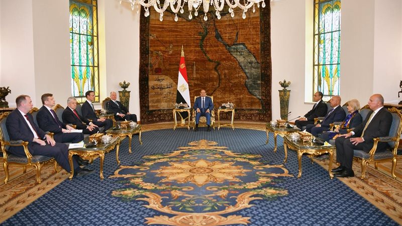 الرئيس السيسي، فيتو
