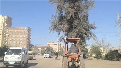 تحول إلى حفر ومطبات، طريق 