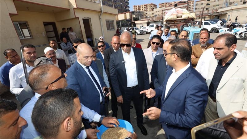 محافظ كفرالشيخ يتفقد