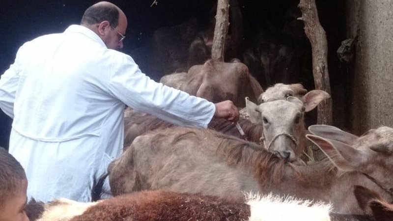 الحملة القومية الثانية