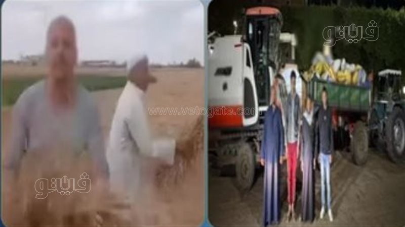 إخلاء سبيل المتهمين،فيتو
