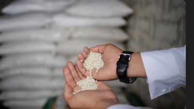 يكلف الدولة عملات صعبة كثيرة، خبير دولي يحذر الحكومة من خفض حصة الأسمدة للمزارعيين