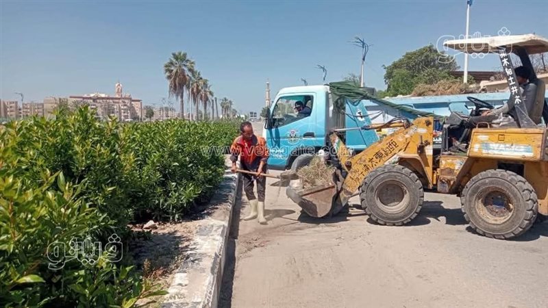 رفع كفاءة شوارع بورسعيد،