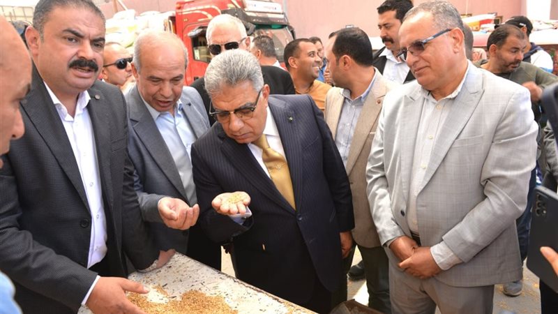 توريد القمح بالدقهلية