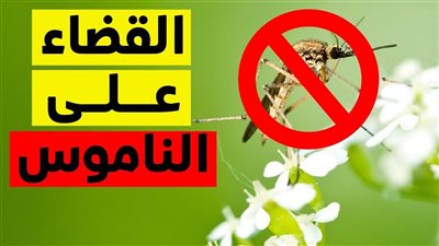 أفضل طرق طبيعية لطرد الناموس من البيت