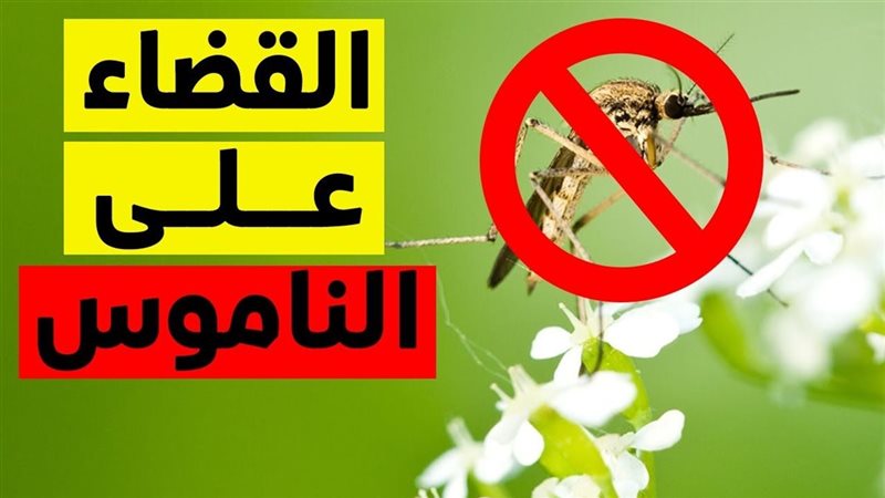 التخلص من الناموس