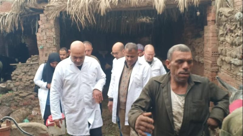 بيطري القليوبية،
