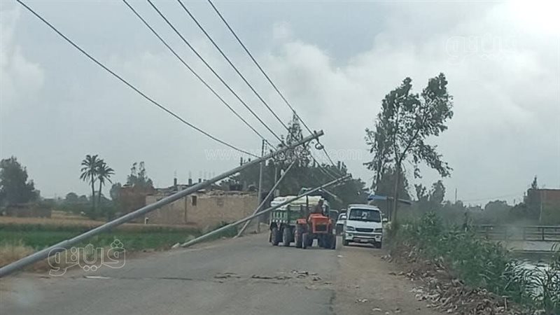 سقوط أشجار وأعمدة