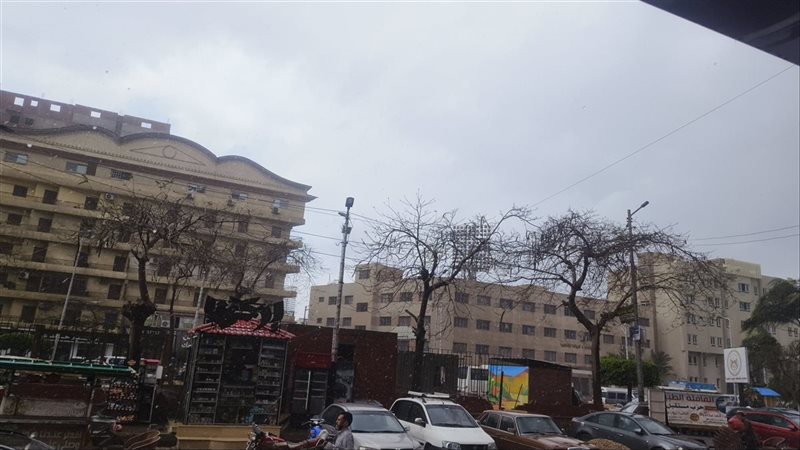 طقس الدقهلية، فيتو