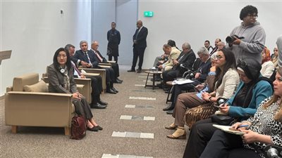 السفير الياباني: مشروع الطاقة الشمسية بالمتحف الكبير يجسد التزام مصر بالتنمية المستدامة