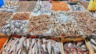 أسعار السمك اليوم الخميس، 