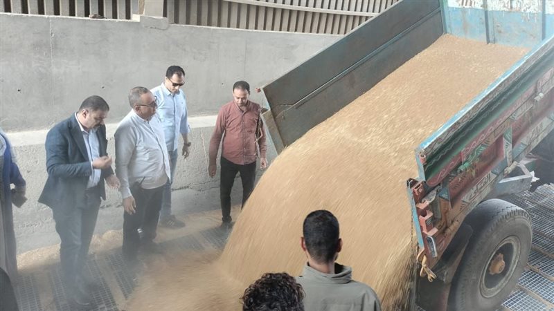 توريد القمح