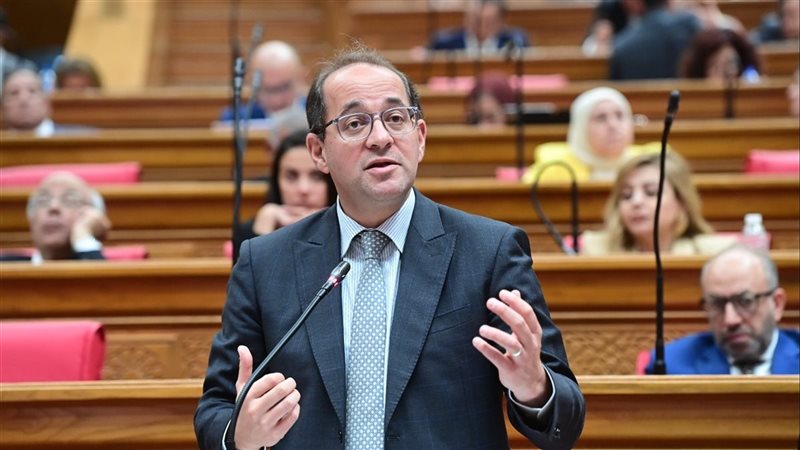 وزير المالية أمام
