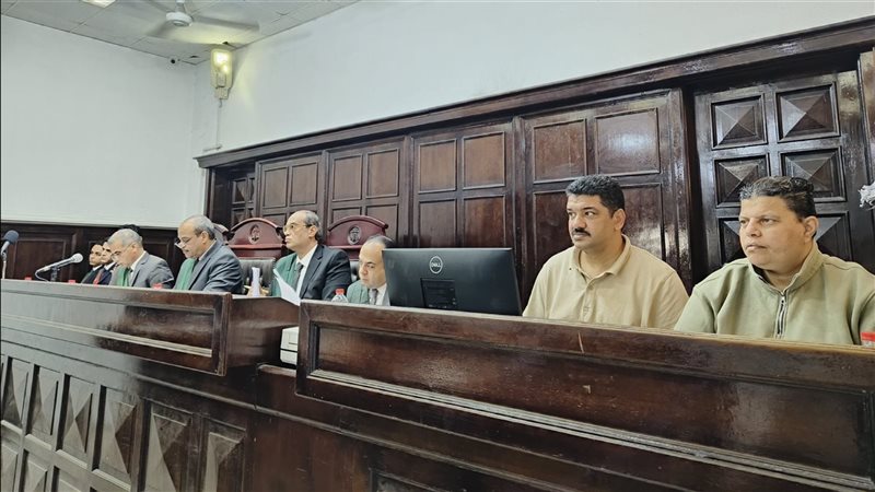 جنايات المنصورة،