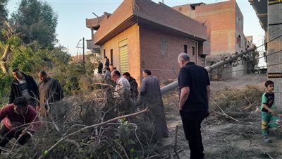 بسبب سوء الطقس، سقوط شجرة 