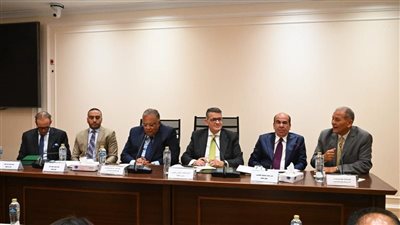 السادات: التعاون بين مجلسي النواب وحقوق الإنسان ركيزة أساسية لتطوير السياسات العامة 