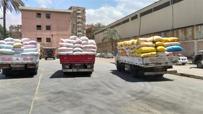 قنا،فيتو