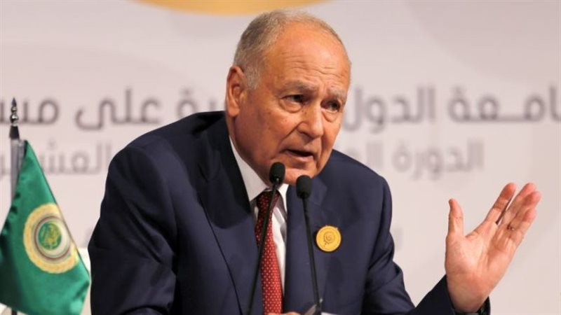أبو الغيط، فيتو 