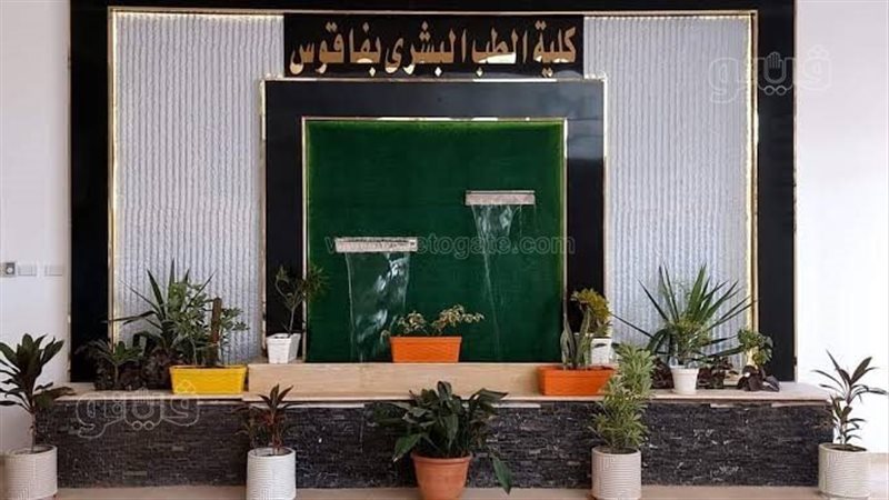 طب فاقوس،فيتو