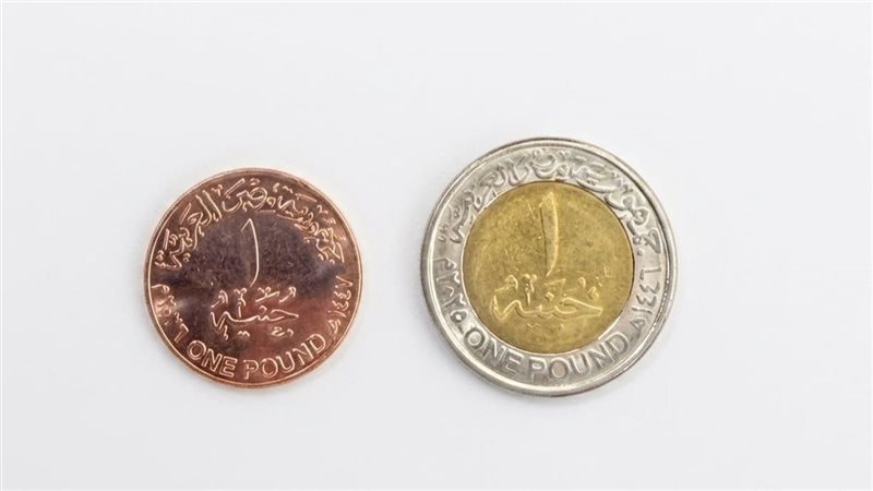 الجنيه الجديد، فيتو