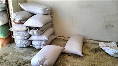 حملة تموينية بالإسكندرية تضبط كميات قمح غير مصرح بها وسلع منتهية الصلاحية