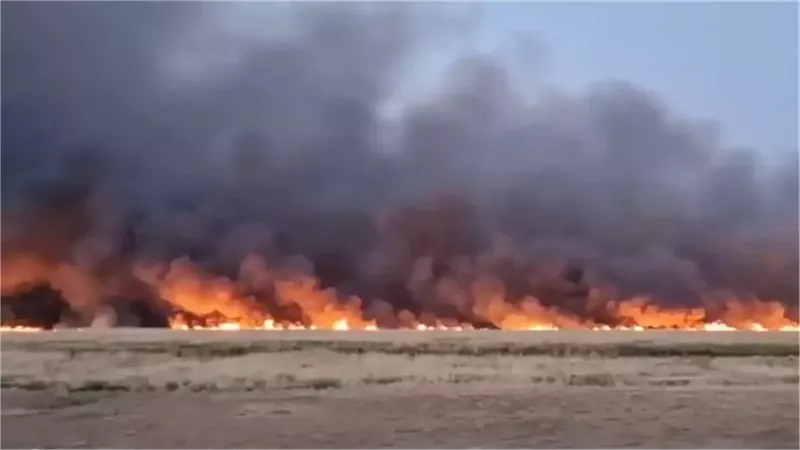 حريق مستنقعات أراك