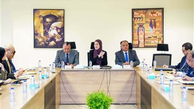 بدء إعداد تقرير مصر الرابع للتنمية المستدامة بالتعاون مع الأمم المتحدة الإنمائي