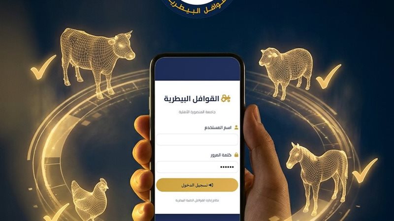 جامعة المنصورة الأهلية،
