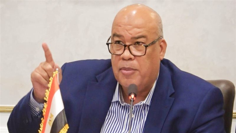 أيمن العشري، فيتو