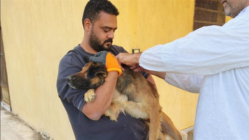 جانب من حملات التحصين،