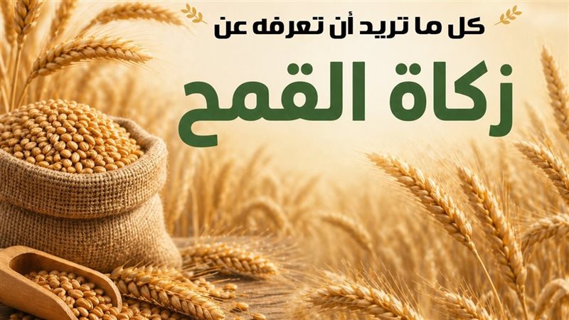زكاة القمح، فيتو